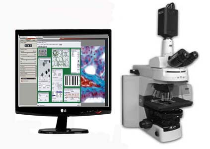 ��΢Ӱ�����ϵͳ