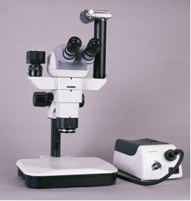 SMPϵ��ƽ�й������䱶������΢��