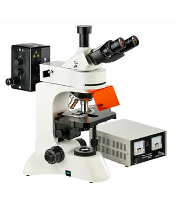 ��Ŀ����ӫ����΢��