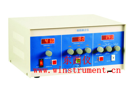 ϸ���ں���