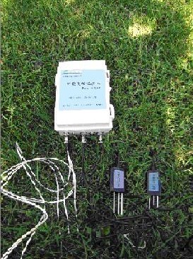 ���������뺵�����ϵͳ