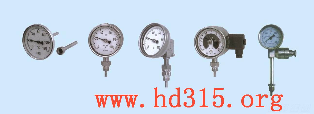 ��ӵ�˫�����¶ȼ� �ͺ�:WH1-M385142 ��ţ�M385142