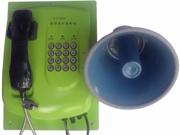 ���ܷ����������绰 �ͺ�:BQS29-HY3000 ��ţ�M350418