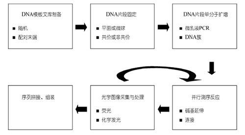 �������CCD���