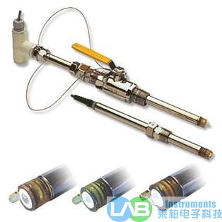 PHS10/17ϵ��ͨ���ʹ������͵缫