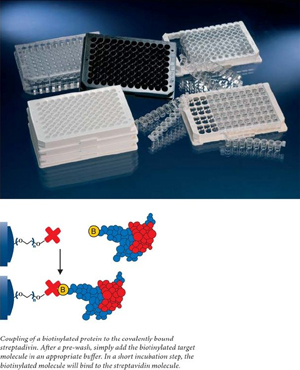 Nunc����436022-ImmobilizerTM��ù�׺���ø���Ͱ���