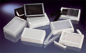 ����ӫ�����Nunc���� ÿ��96�� ����475515