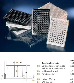 Nunc384�׵�͸΢�װ� �۱���ϩ/�ۺ������ ����152029