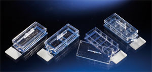 Nunc����154526Lab-TekTM��ǻ�Ҳ�Ƭ