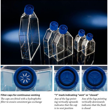 Nunc����159934EasyFlasksTMNunclonTM����������ƿ