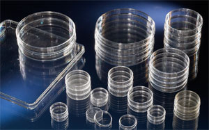 ������NunclonTM�� �۱���ϩ ����171099