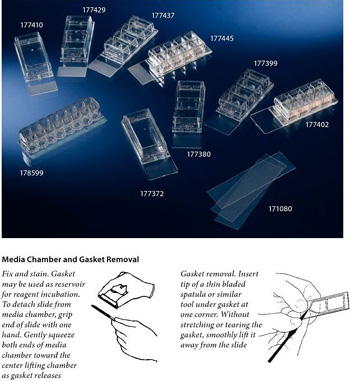 NuncLAB-TekTM ǻ�Ҳ�Ƭ ͨ��CE��֤ ����177429