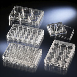 Nunc����179820�������ϸ�������� �۱���ϩ