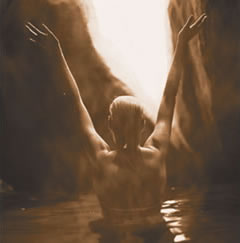 Nunc����228125 PropurTM Kits,�����