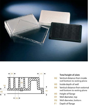 Nunc����253601 1536��΢�װ�