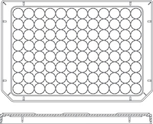 Nunc ��׼�������96��΢�װ� ����264623
