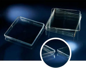 Nunc����241205���Ĥ ��͸��