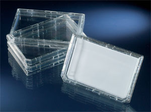 Nunc384�׵�͸΢�װ� ����242764