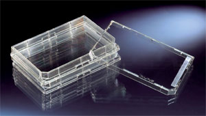 Nunc����465219C-ImmunoTMOmniTray������MaxiSorpTM����