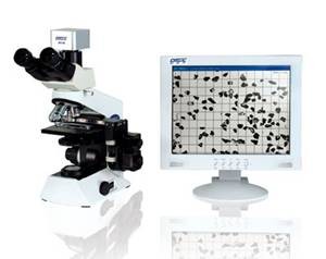 PIP9.1����ͼ������