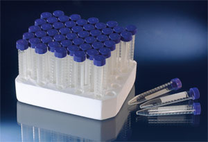 Nunc����366052 ���Ĺ� �����