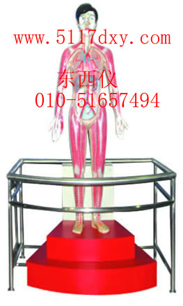 ΢���������Ķ��������Сѭ����ʾģ��