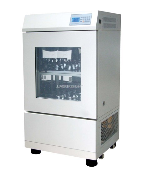 ��ʽ˫������������� ��������ҡ��