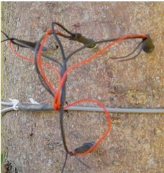 SF-Lֲ�ﾥ��������