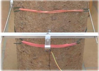 Dϵ��ֲ���ʵ��������������