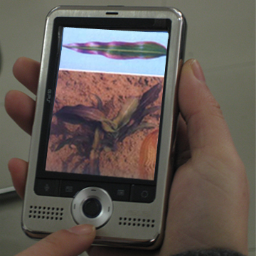 ����Ӫ�������