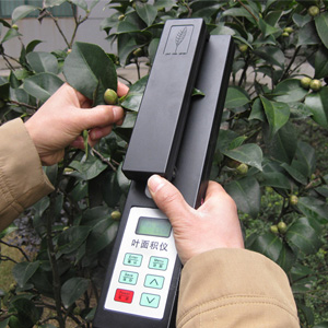 Ҷ����ⶨ��