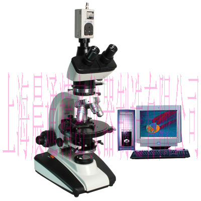 ƫ����΢��