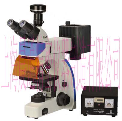 ӫ����΢��