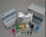 ��2,3-�����������(2,3-DPG)ELISA�Լ��� 96T �ͺ�:YS188-FA01321B