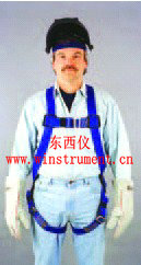 ���ӹ�ȫ��ʽ��ȫ�� wi72336