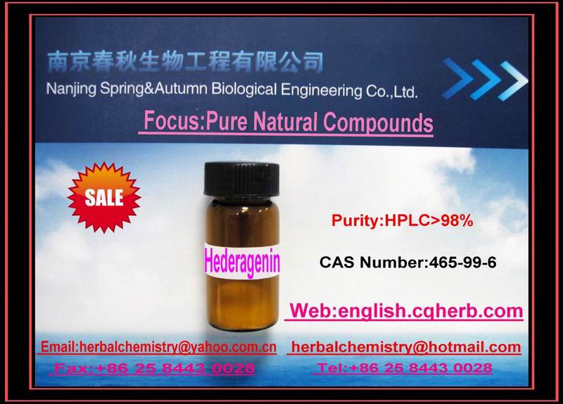 ����������Ԫ