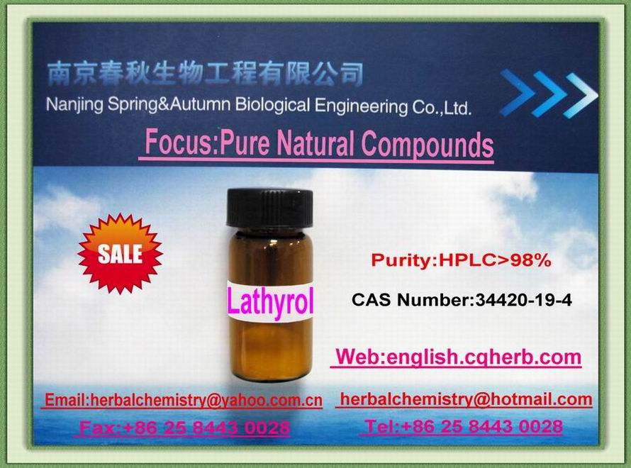 ǧ���Ӷ��ƴ�