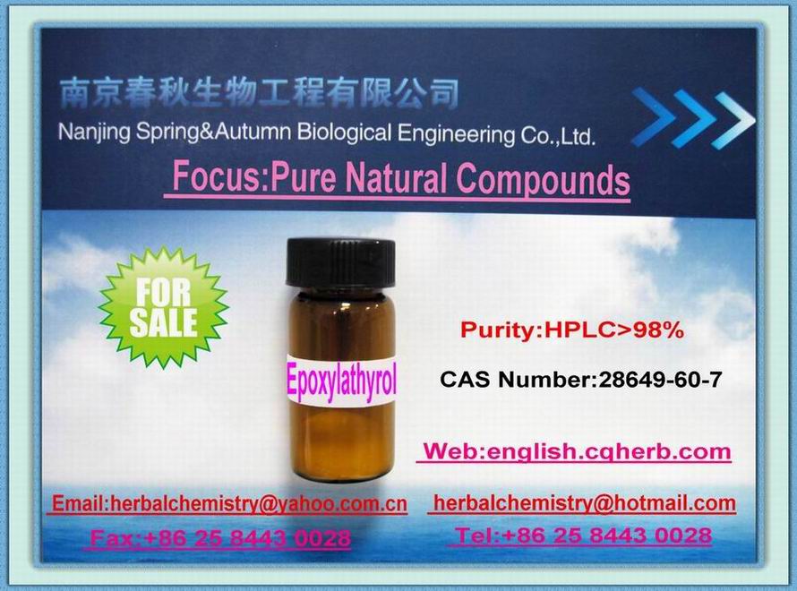 ���������Ӵ�