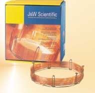 ������ëϸ����