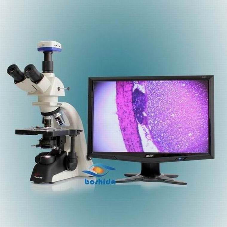 ��Ӧ ����Զ��ѧϵͳ ������΢�� 40X-1600X ������