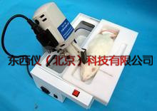 ����綯��ͷ��