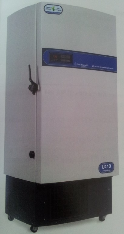 Premium U410��ʽ�����±���