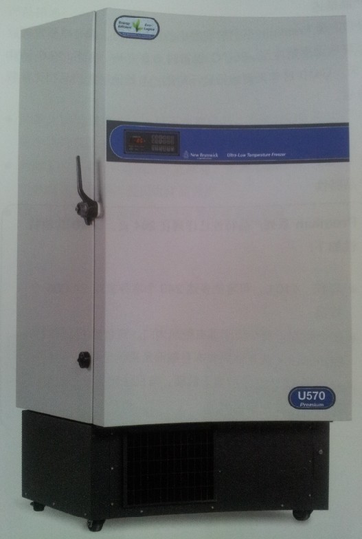 Premium U570��ʽ�����±���