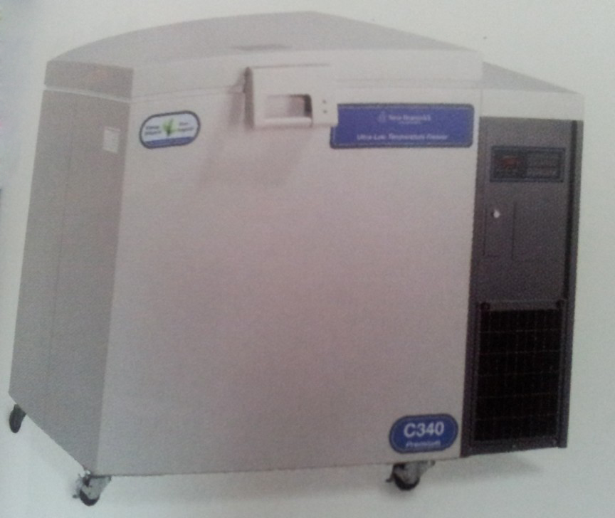 Premium C340��ʽ�����±���