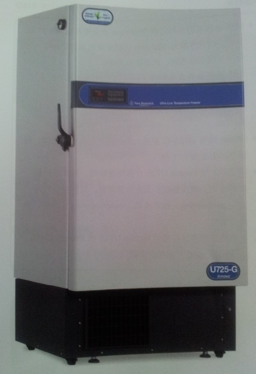 U725-G Green ��ʽ�����±���