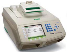 C1000™ PCR
