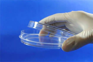 100mm��������ϸ��������