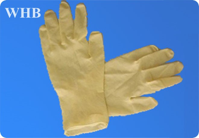 1000�������齺����