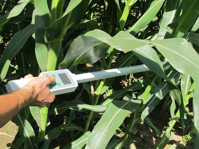 �ڲ������