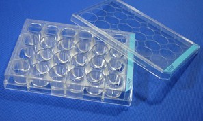 24��ƽ��ϸ��������